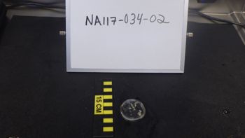 Media type: image; Invertebrate Zoology 153123   Description: live specimen;